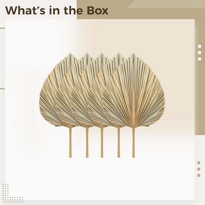 مجموعة مروحة أوراق النخيل المجففة الطبيعية من 5 قطع، ديكور منزلي على الطراز البوهيمي - Image 4